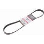 GATES 6PK1028 | V Kayışı 97-02 Primera 2.0 16V P11