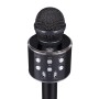 Asonic AS-M09 Karaoke Mikrofon - Yüksek Ses Kalitesi