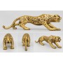 Tiger Gold Biblo 60cm (Kuyruk Kısmı Onarılmış)