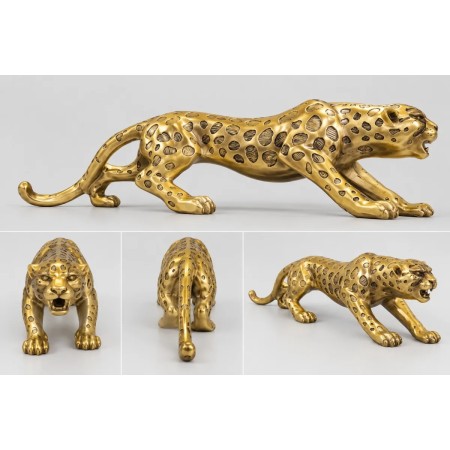 Tiger Gold Biblo 60cm (Kuyruk Kısmı Onarılmış)