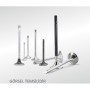 Sunex BMW M50 M52 M54 B20 Emme Valfi 1738220 11341738220