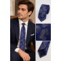 Bisse Men's Navy Patterned Tie - Elegant Accessory