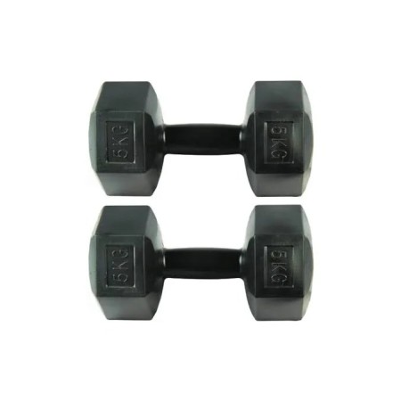 Dambıl Seti 5 Kg *2 Adet