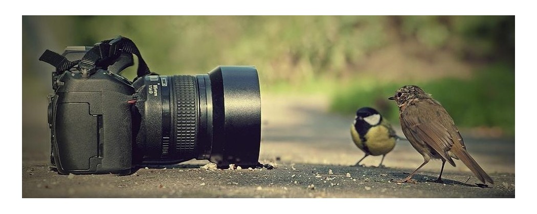 Fotoğraf Makinesi