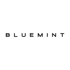 Bluemint 